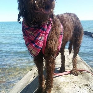 Meet your Posher, Marilyn